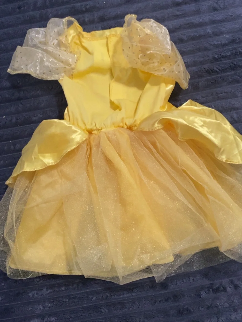 Disney princess costume